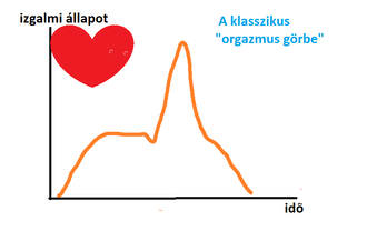 szexológus, orgazmus görbe